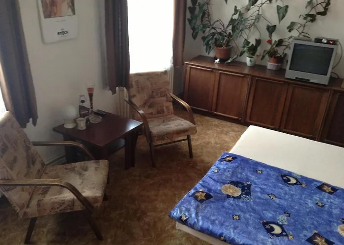 At チェスケー・ブジェヨヴィツェ